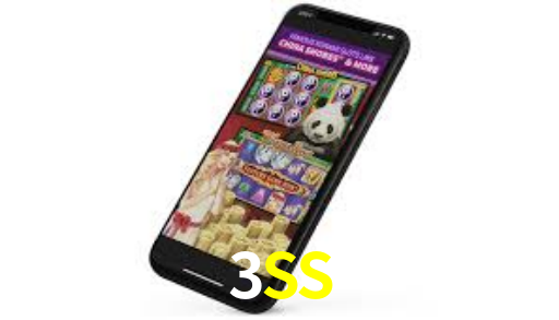 3SS